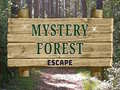 Játék Mystery Forest