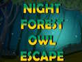 Játék Night Forest Owl Escape