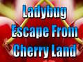 Játék Ladybug Escape From Cherry Land