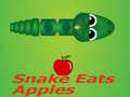 Játék Snake Eats Apple
