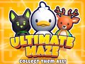 Játék Ultimate Maze! Collect Them All!