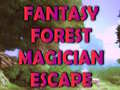 Játék Fantasy Forest Magician Escape