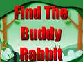 Játék Find The Buddy Rabbit
