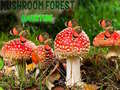 Játék Mushroom Forest Adventure