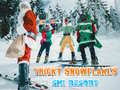 Játék Ski Resort Hidden Snowflakes