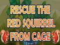 Játék Rescue The Red Squirrel From Cage