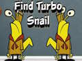 Játék Find Turbo Snail
