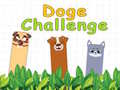 Játék Doge Challenge