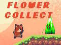 Játék Flower Collect