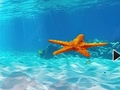 Játék Escape From Underwater Starfish