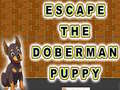 Játék Escape The Doberman Puppy