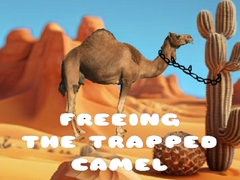Játék Freeing the Trapped Camel