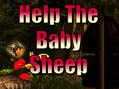 Játék Help The Baby Sheep
