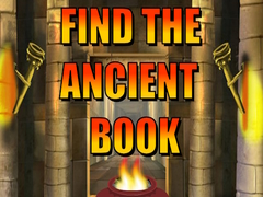 Játék Find The Ancient Book