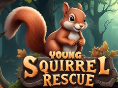 Játék Young Squirrel Rescue