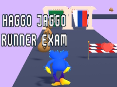 Játék Haggo Jaggo Runner exam