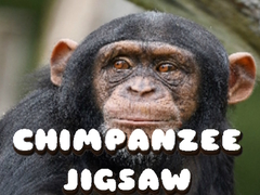 Játék Chimpanzee Jigsaw