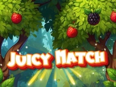 Játék Juicy Match