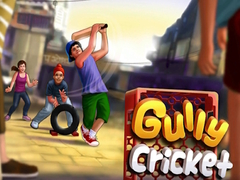 Játék Gully Cricket