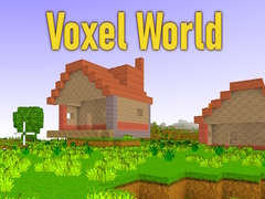 Játék Voxel World