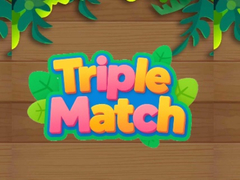 Játék Triple Matched