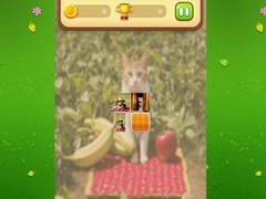 Játék Farm Cat Memory Match