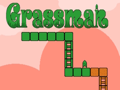 Játék Grassman