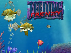 Játék Feeding Frenzy