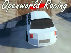 Játék Openworld Racing