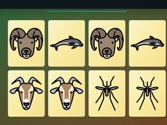 Játék Match Pairs Memory Challenge