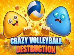 Játék Crazy Volleyball Destruction