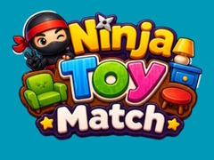 Játék Ninja Toy Match