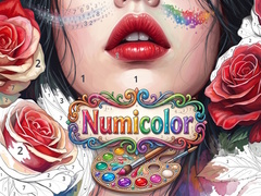 Játék Numicolor