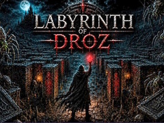 Játék Labyrinth of Droz