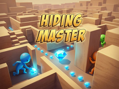 Játék Hiding Master