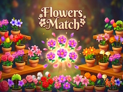 Játék Flowers Match