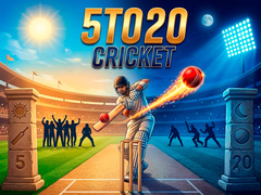 Játék 5TO20 Cricket