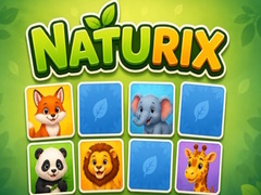 Játék Naturix
