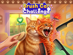 Játék Brush Cat Challenge 