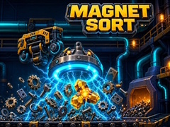 Játék Magnet Sort