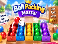 Játék Packing Master Puzzle