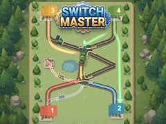 Játék Switch Master