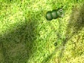 Játék Caterpillar