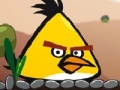 Játék Angry Bird Super Puzzle