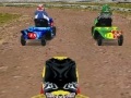 Játék Lawnmower Racing 3D