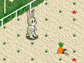 Játék Animal 4 Steps