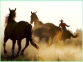 Játék Cowboy Horses Sliding