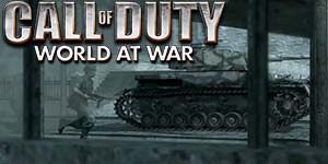 Call of Duty World at War 